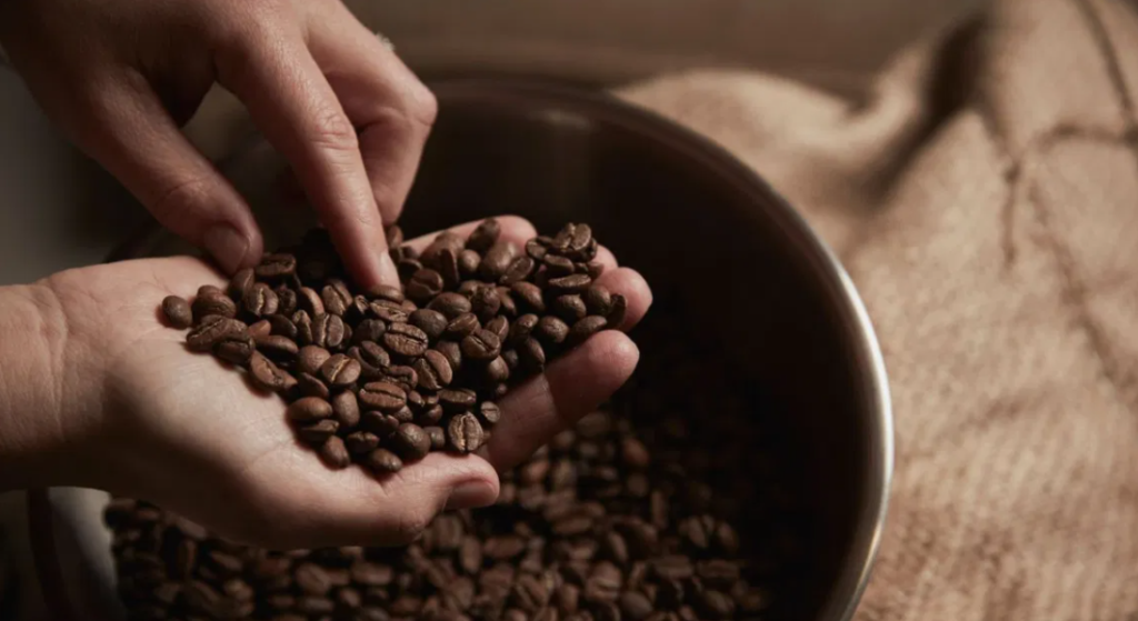 Ways to reuse Coffee beans 5 image 36